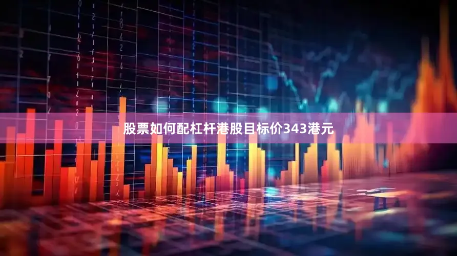股票如何配杠杆港股目标价343港元
